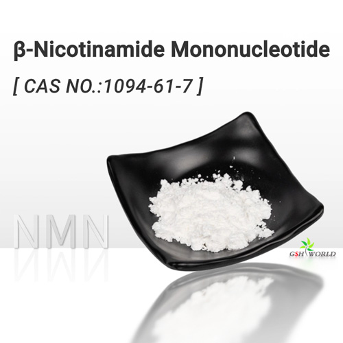 Bulk NMN Powder