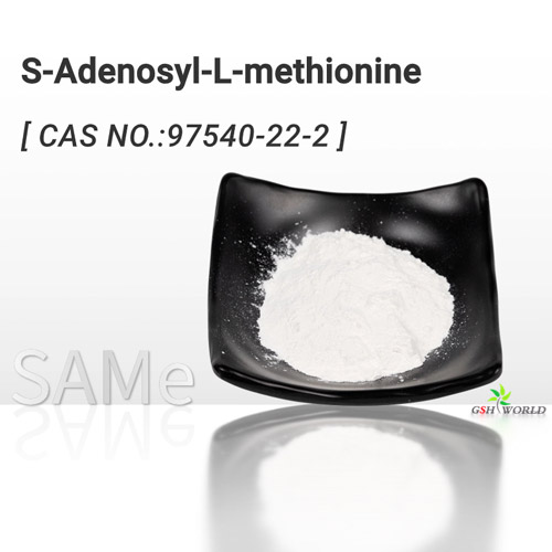 S-Adenosyl-L-Methionine