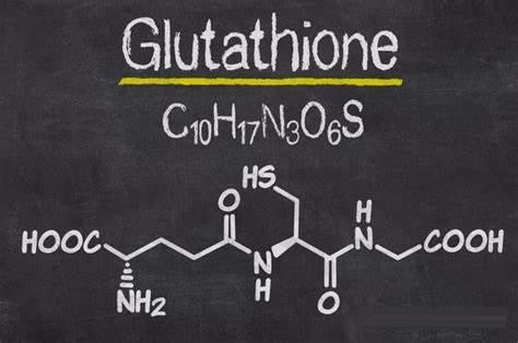 The detoxification of glutathione