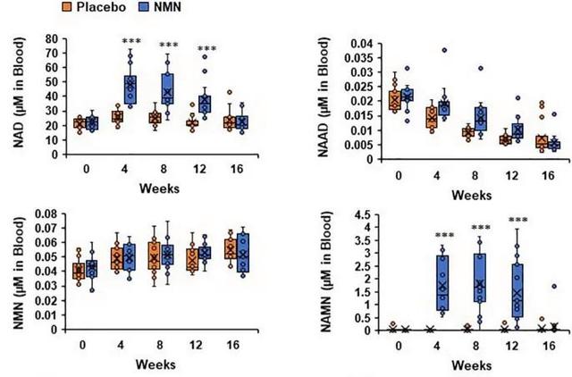 Oral administration of NMN increases blood levels of NAD