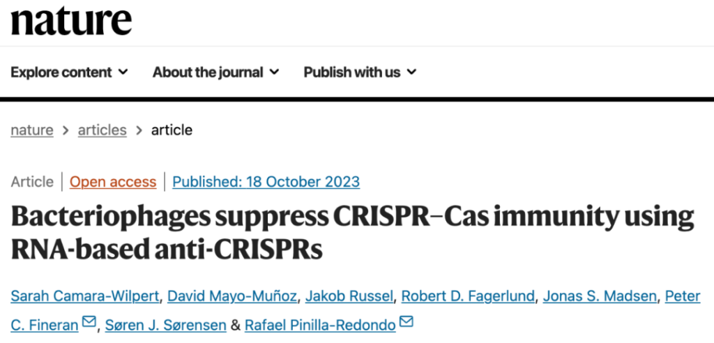 Bacteriophages suppress CRISPR-Casimmunity using RNA-based anti-CRISPRs
