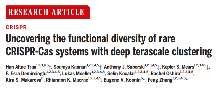 Uncovering the functional diversity of rare CRISPR-Cas systems with deep terascale clustering
