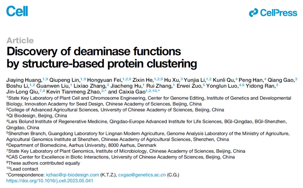 Discovery of deaminase functions by structure-based protein clustering