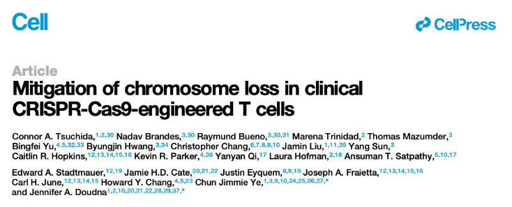 Mitigation of chromosome loss in clinica CRISPR-Cas9-engineered T cells