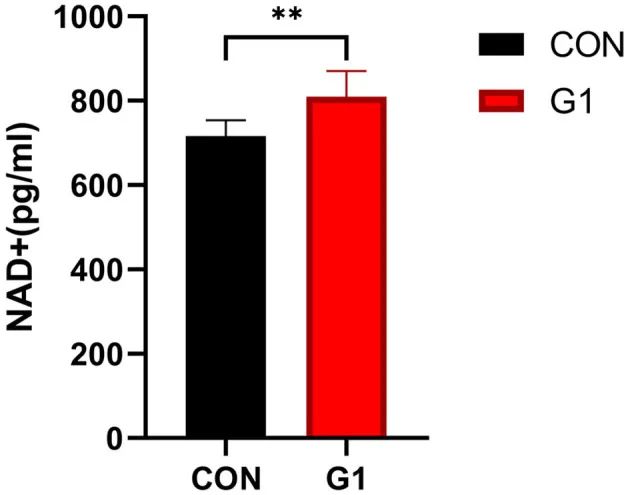 Serum NAD+ content significantly increased after long-term NMN treatment in mice in G1 group (supplemented with 0.1 mg/mL NMN for 15 weeks)