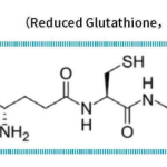 Glutathione synthesis technique with antioxidant effect