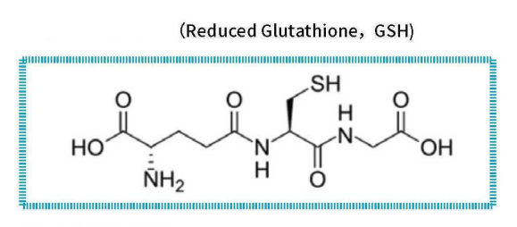 reduced glutathione (GSH)