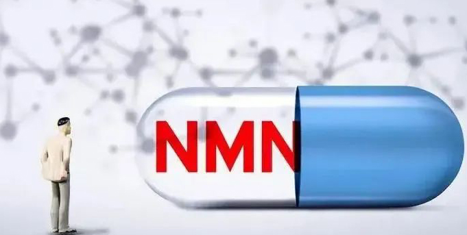 A comprehensive guide to NMN products