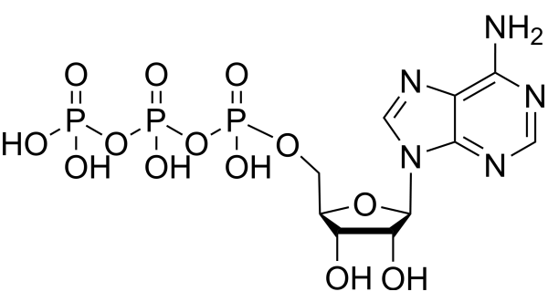 ATP molecular structure formula