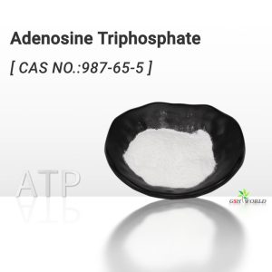 ATP Powder Adenosine Triphosphate Disodium