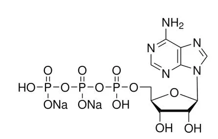 Adenosine Triphosphate Disodium